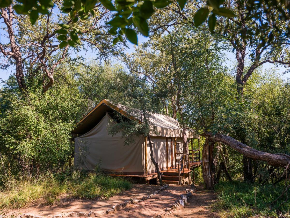 Aha Thakadu River Camp Madikwe Game Reserve Exteriér fotografie